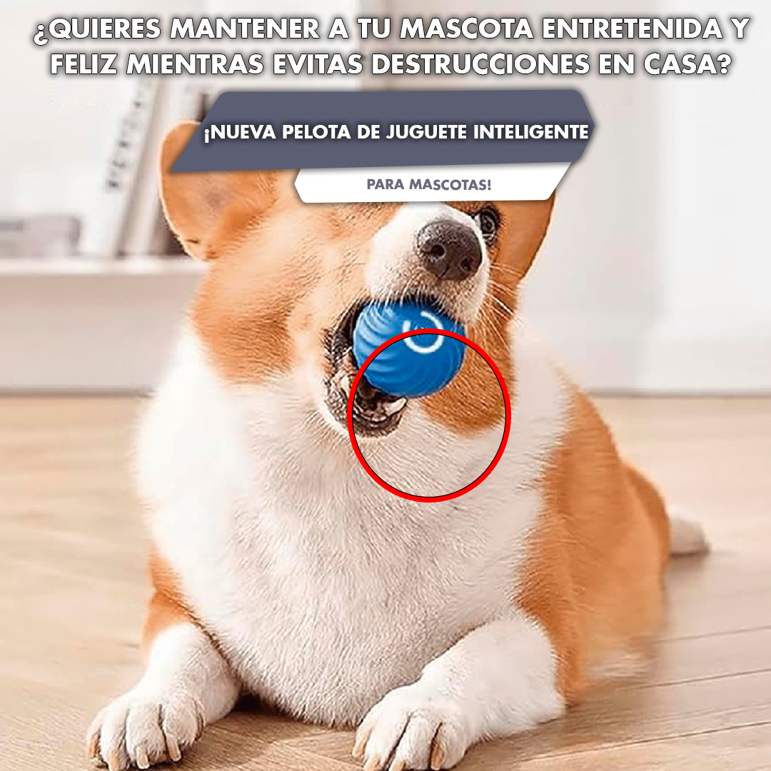 Pelota de juguete inteligente